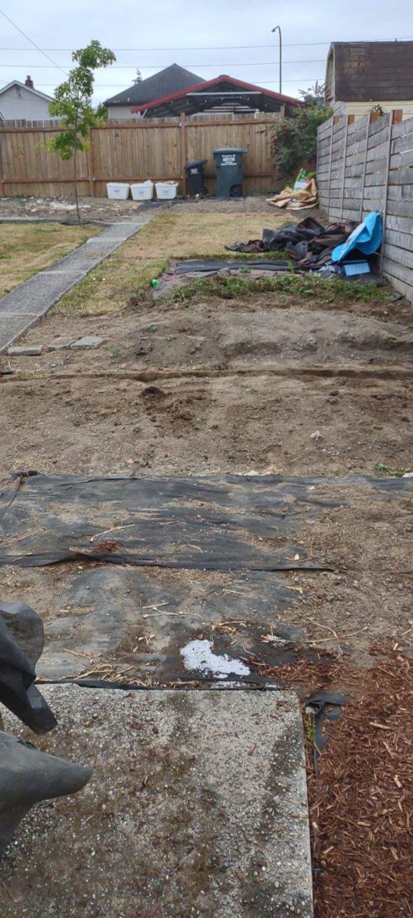 Neglected backyard with bare dirt, patchy grass, and debris before professional landscaping transformation.