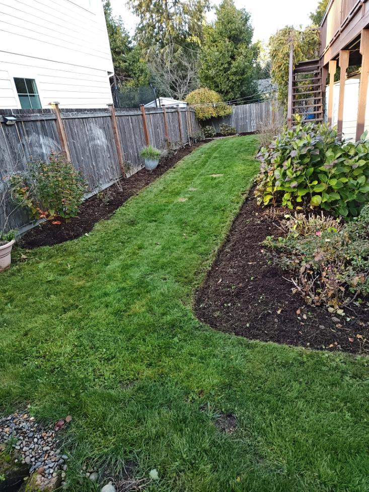 After landscaping transformation